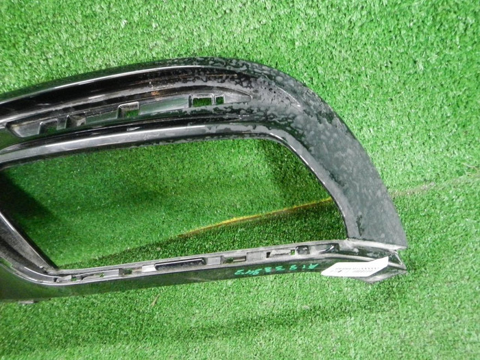 DSCN8037.JPG