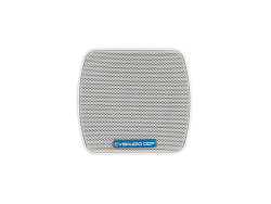 CVGAUDIO ODF308W Настенная низкоомная миниатюрная акустика