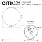 Накладной светильник Citilux RON CL941D20B0