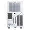 Кондиционер мобильный Electrolux Bliss Art EACM-12 GT/N6 — (2)