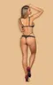 Liferia teddy