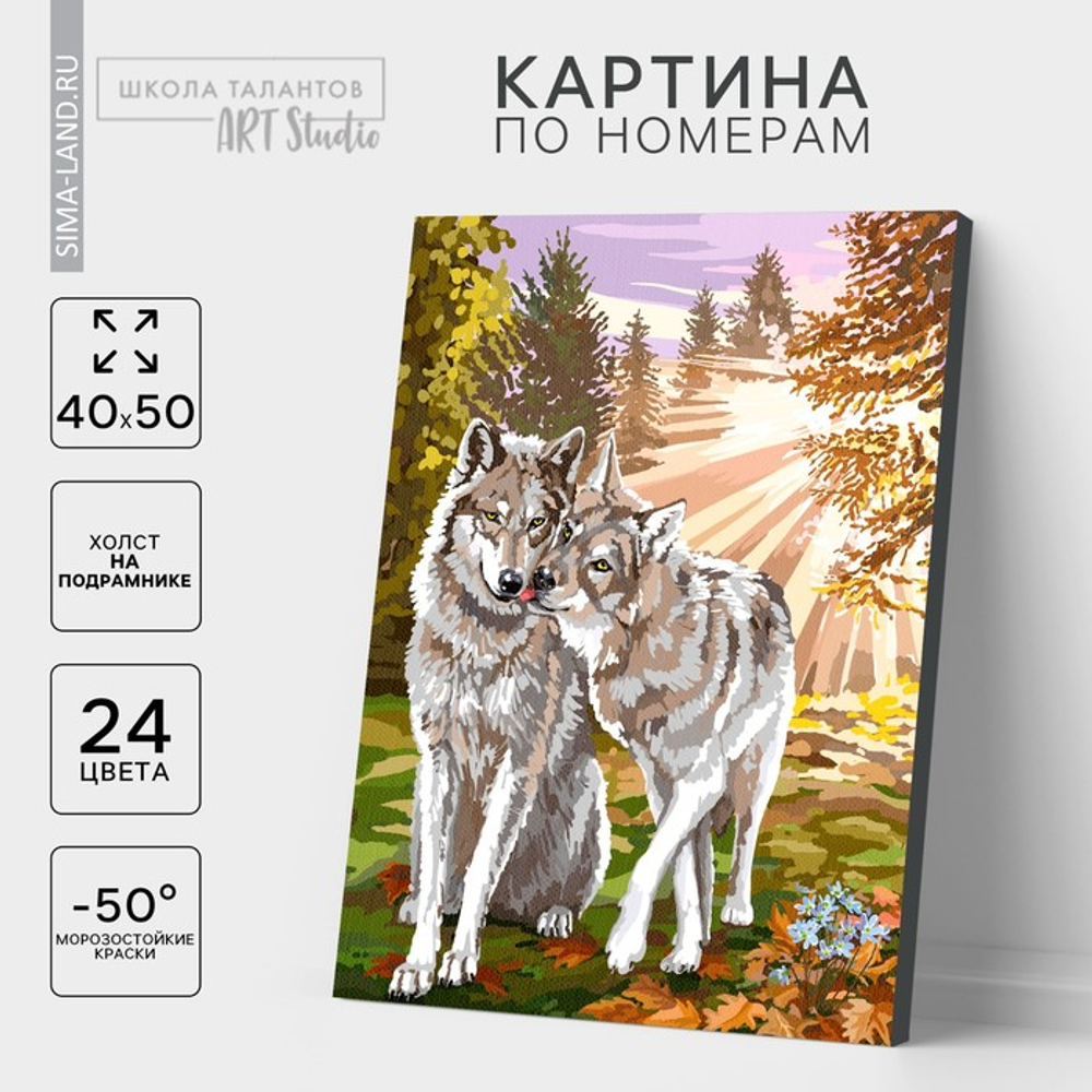 Школа талантов Картина по номерам на холсте с подрамником "Волки" 40*50 см 5005793