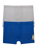 BSH-316-2 трусы-шорты для мальчика