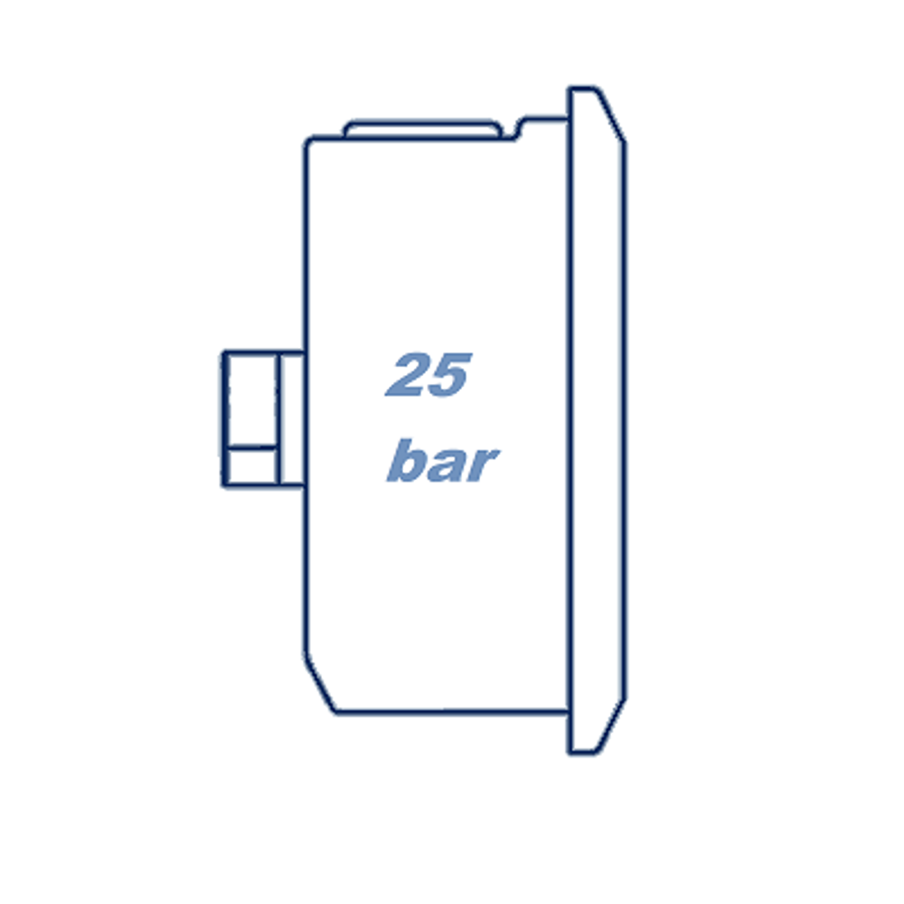 Манометр глицериновый D63 G1/4 - 25 Bar - осевое подключение VERSO