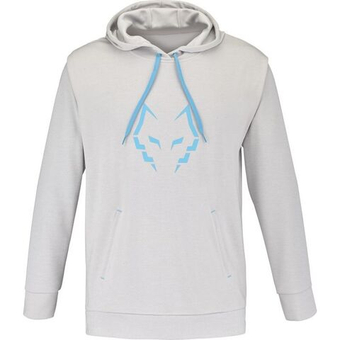 Мужская теннисная кофта Babolat Hood Sweat Lebron - серый