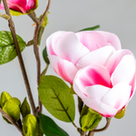 Цветок MAGNOLIA