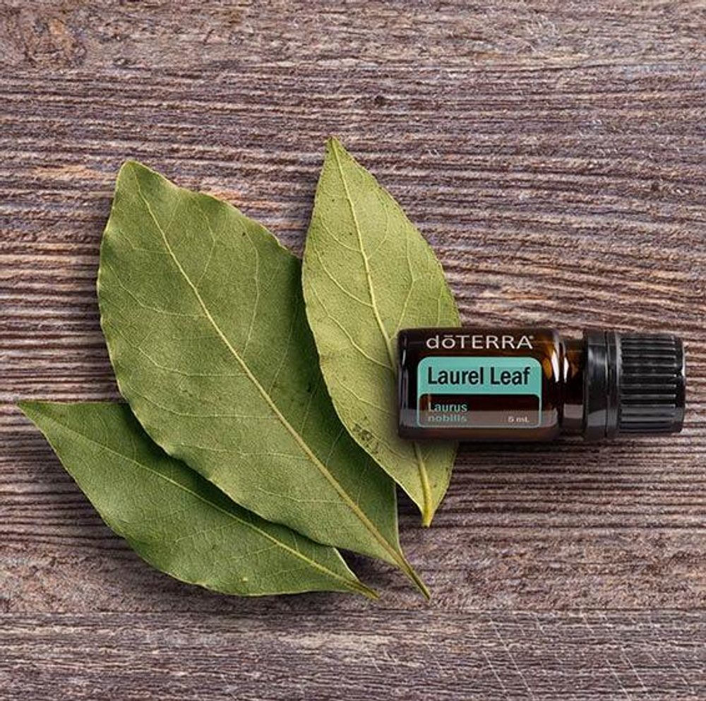 Эфирное масло dōTERRA Лавровый лист, Laurel Leaf, 5 мл
