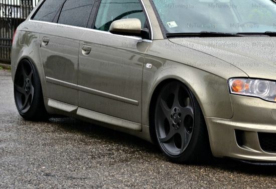 Листва (молдинги) на двери для Audi A4 B6 / B7