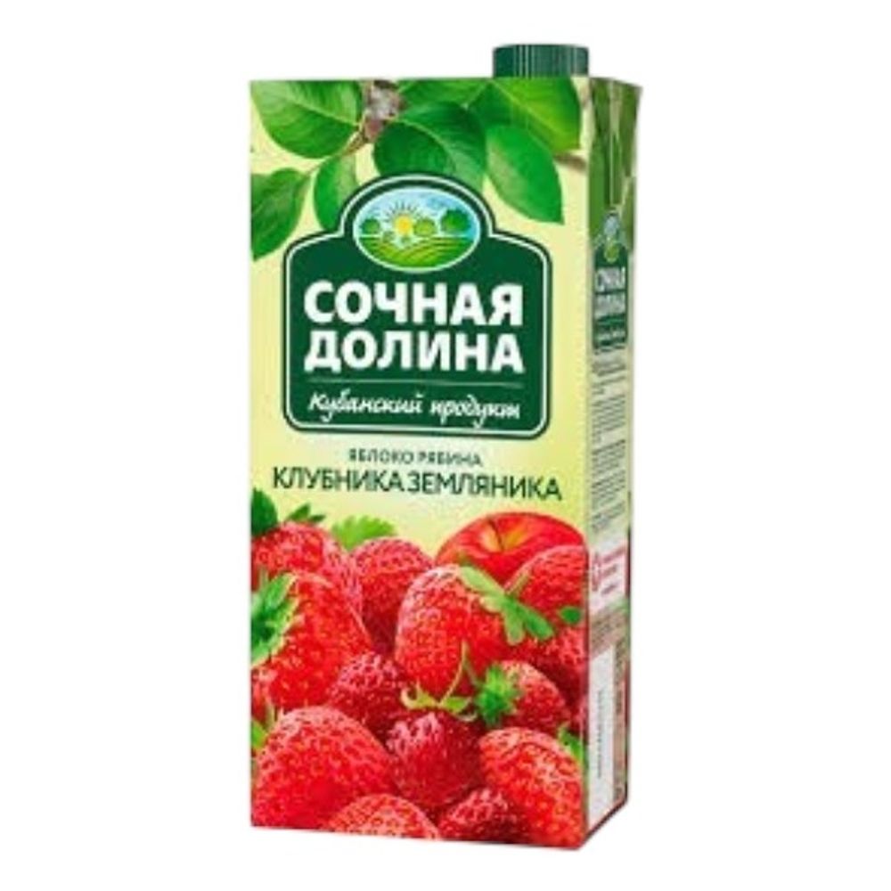 Напиток Сочная долина Яблоко Рябина Клубника Земляника 0,95 л