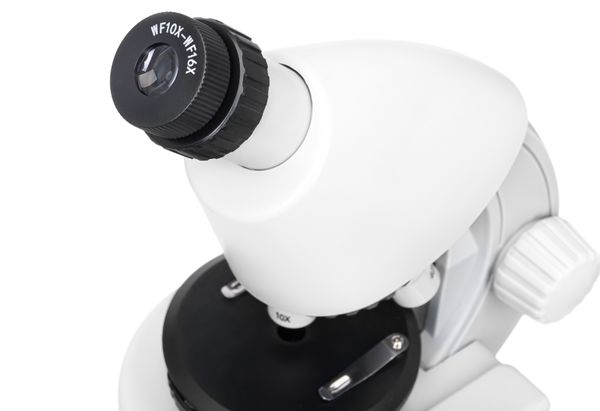 Микроскоп Levenhuk Discovery Micro с книгой, 77952