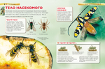 Насекомые. Детская энциклопедия
