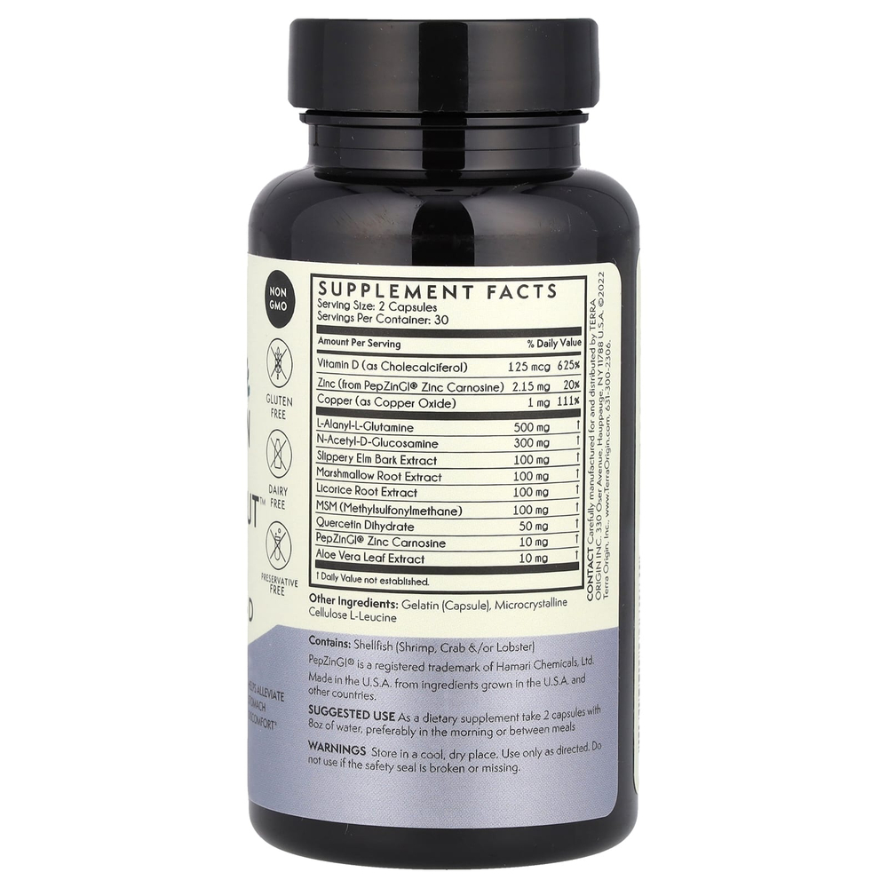 Terra Origin, Healthy Gut™, капсулы с витамином D, 60 капсул