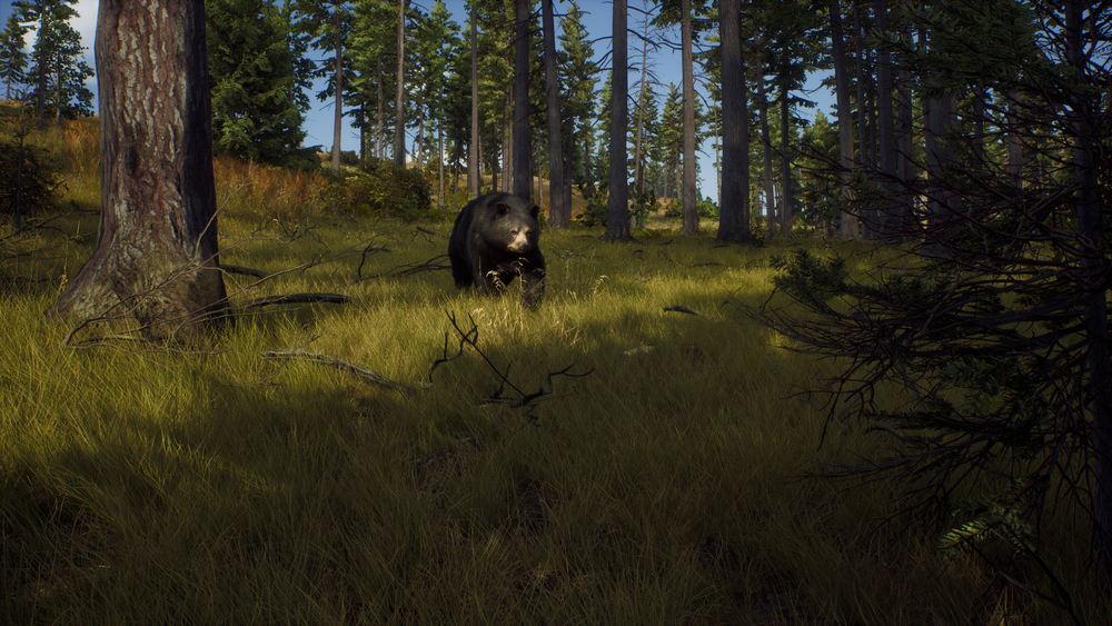 Way of the Hunter Elite Edition (для ПК, цифровой код доступа)
