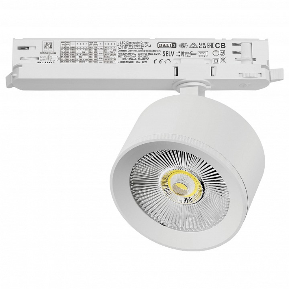 Светильник на штанге Lightstar Alta Pro A5546DALI