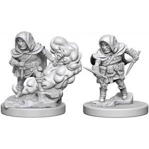 Halfling Male Rogue / Полурослики-плуты