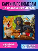 Картина по номерам 30х40см. "Собачки разных пород" 20цв. ( Арт. ХК-6604)