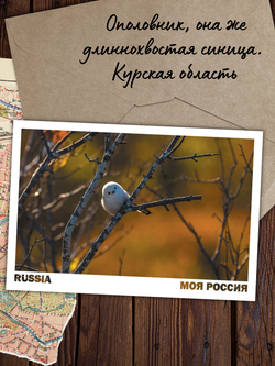 Моя Россия. Осень (выпуск №3, 2023)