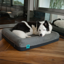 Лежанка Zee.Bed SKULL 2.0 Zee.Dog