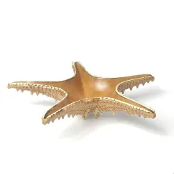 Блюдо для подачи 28*28 см h6 см 100 мл для закусок Звезда Pearl Starfish Frutti di Mare P.L. [1]
