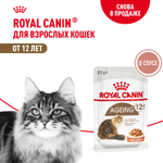 Royal Canin Ageing 12+ Эйджинг Корм влажный для взрослых кошек в возрасте старше 12 лет соус 85г