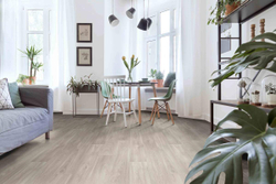 Линолеум полукоммерческий Profi Master Havanna Oak 11, 3,5х25м (рулон)