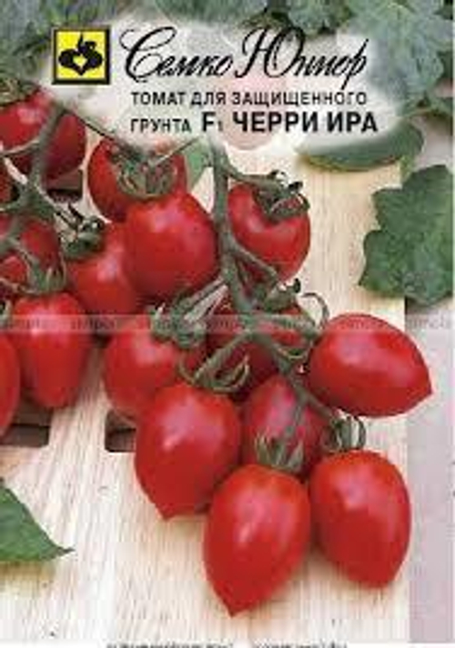 Томат черри Ира F1
