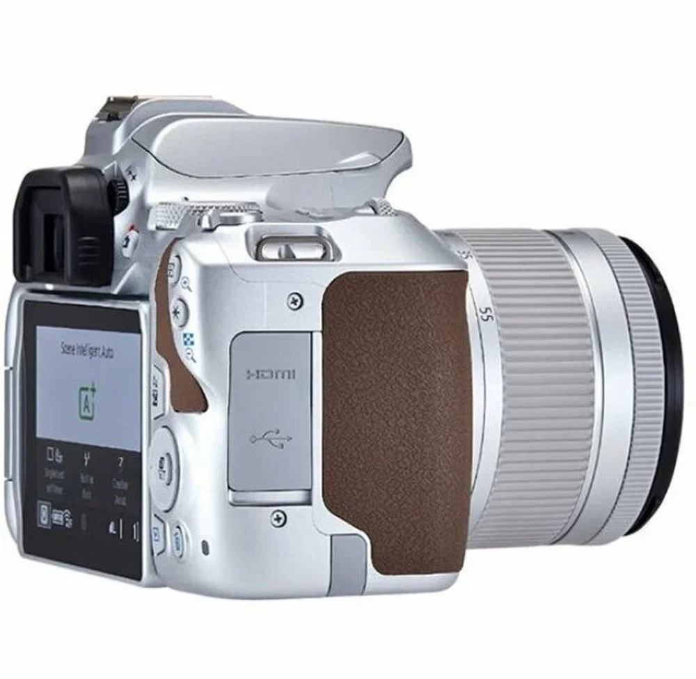 Canon EOS 250D EF-S 18-55mm f/4-5.6 IS STM KIT Silver