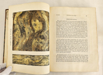 "The decorative painters and glaziers guide; containing the most approved methods of imitating oak, mahogany, maple, rose, cedar, coral, and every other kind of fancy wood". Whittock, N.. 1841г. - антикварная книга