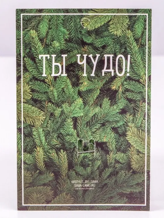 Брошь "Лягушка", цвет фиолетовый в чернёном серебре