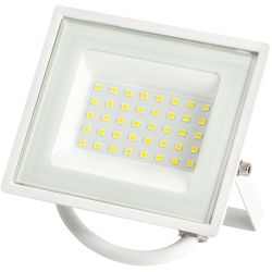 Прожектор светодиодный уличный ЭРА LPR-023-W-65K-030 30Вт 6500K IP65 гарантия 2 года белый | Прожекторы Стандарт