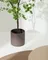 Enkianthus Искусственное дерево с черным горшком 214 см