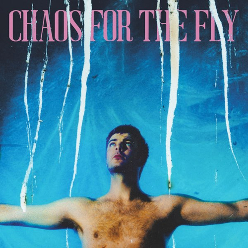 Grian Chatten - Chaos For The Fly - ex- Fontaines D.C.