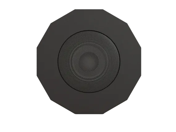 CVGAUDIO SUBone model D-6BL/CR/T подвесной пассивный сабвуфер
