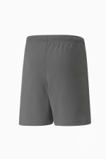 Шорты Puma teamRISE Junior - серый