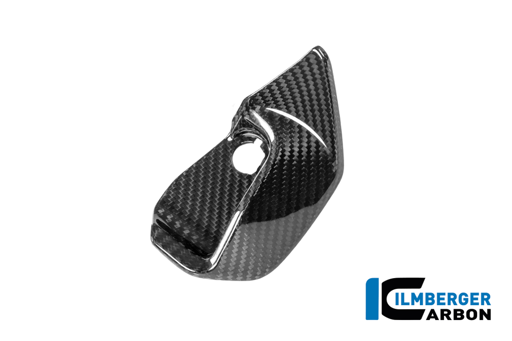 Ilmberger Carbonparts Накладка приборной панели правая BMW R 1300RS CG.CAR.017.R13RS