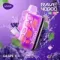 VOZOL RAVE 40000 - Grape Ice (5% nic)