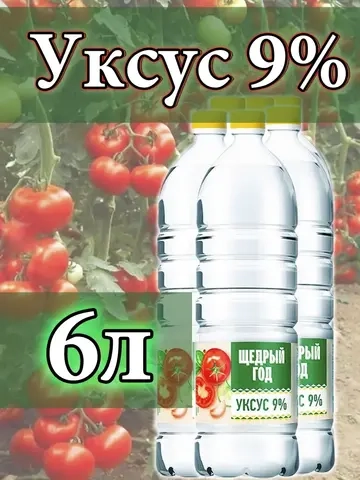 Уксус для ресторана 6 литров 9 %