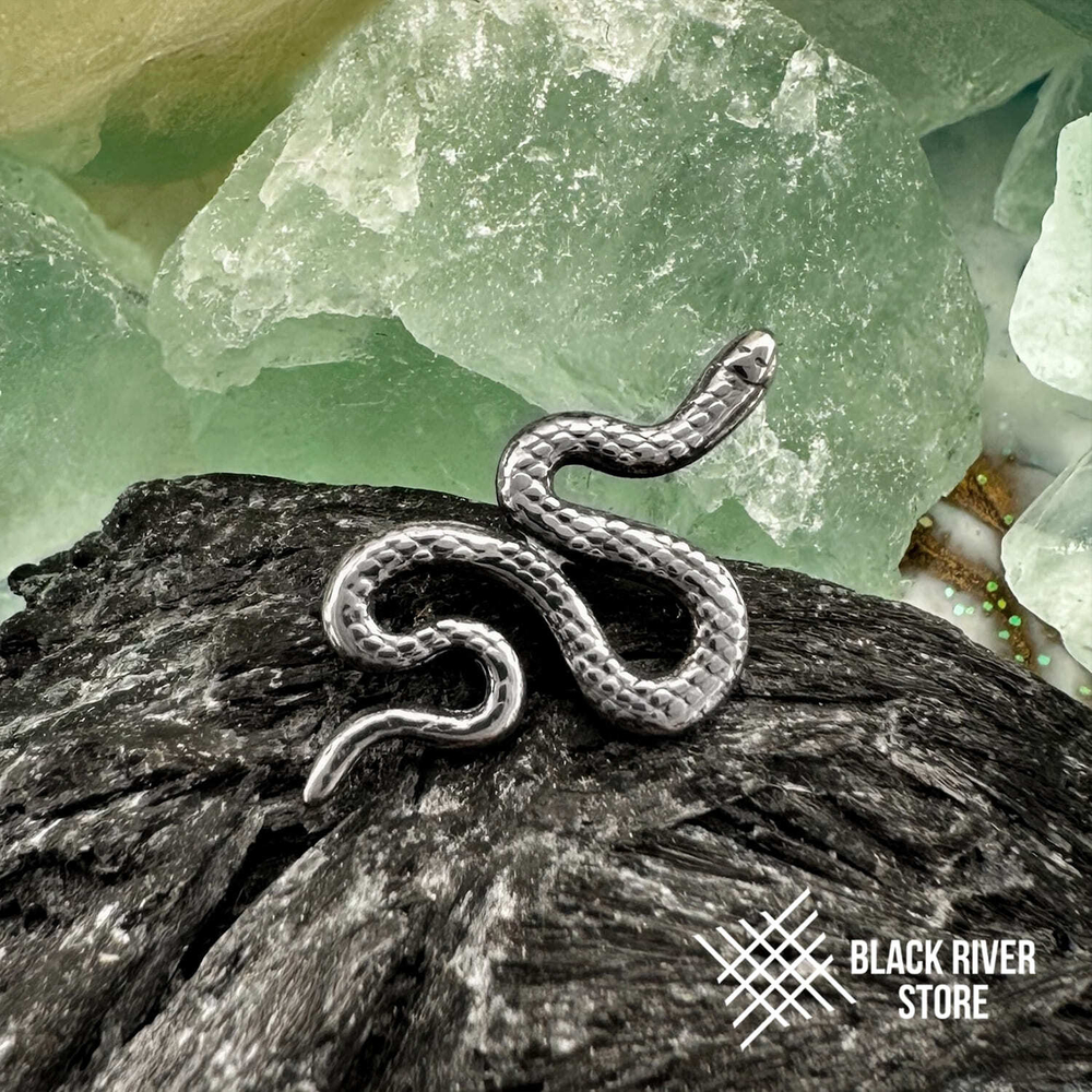 Serpent v.2