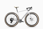 Borant OMNI II WHALEROAD R7 1x14 (2027)