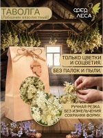 Таволга соцветия для здоровья и творчества