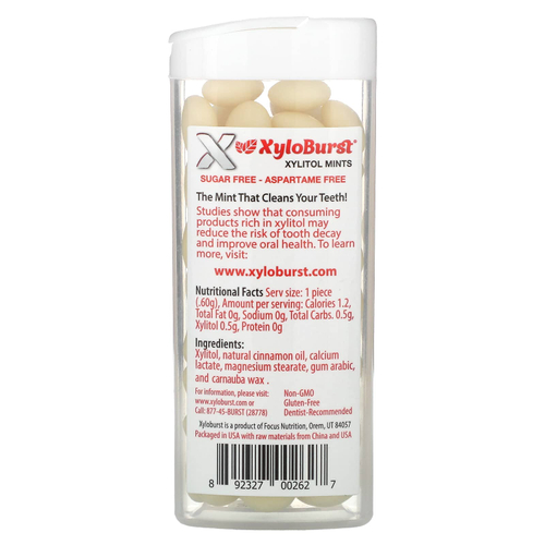 Xyloburst, подслащенные ксилитолом мятные конфеты, со вкусом корицы, 60 шт., 36 г (1,27 унции)