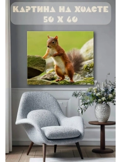 Картина на стену 40 X 50 Белка