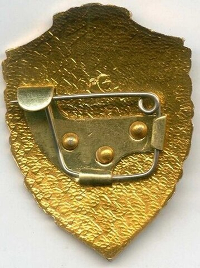 Знак "Отличник ВВС СССР"