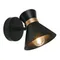 Спот Baltimore A1406AP-1BK Arte Lamp