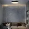 Потолочный светильник Brim 10226 Black Loft It