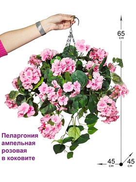 Пеларгония ампельная 4 куста розовая 65см в коковите на цепочках