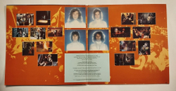 Винтажная виниловая пластинка LP Slade In Flame (Sweden 1974)