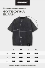 Футболка SHMOT "MUGSHOTS" GARMENT DYE Черный
