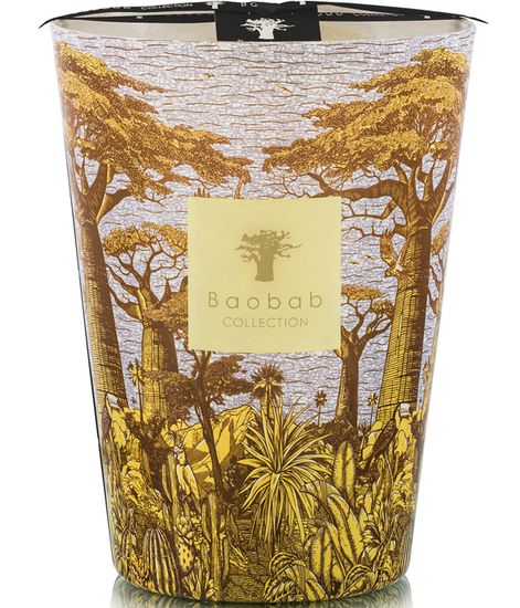 Cocody, свеча MAX 24 Sacred Trees collection, Baobab Collection