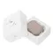 Apple AirPods Pro 3 Champagne Matte